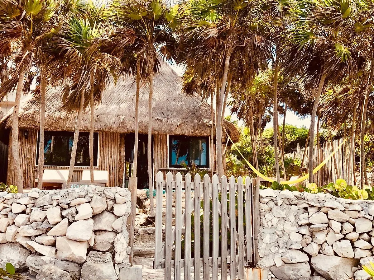 Casa Emily - Oceanfront House In Tulum! Villa 0*, Tulum