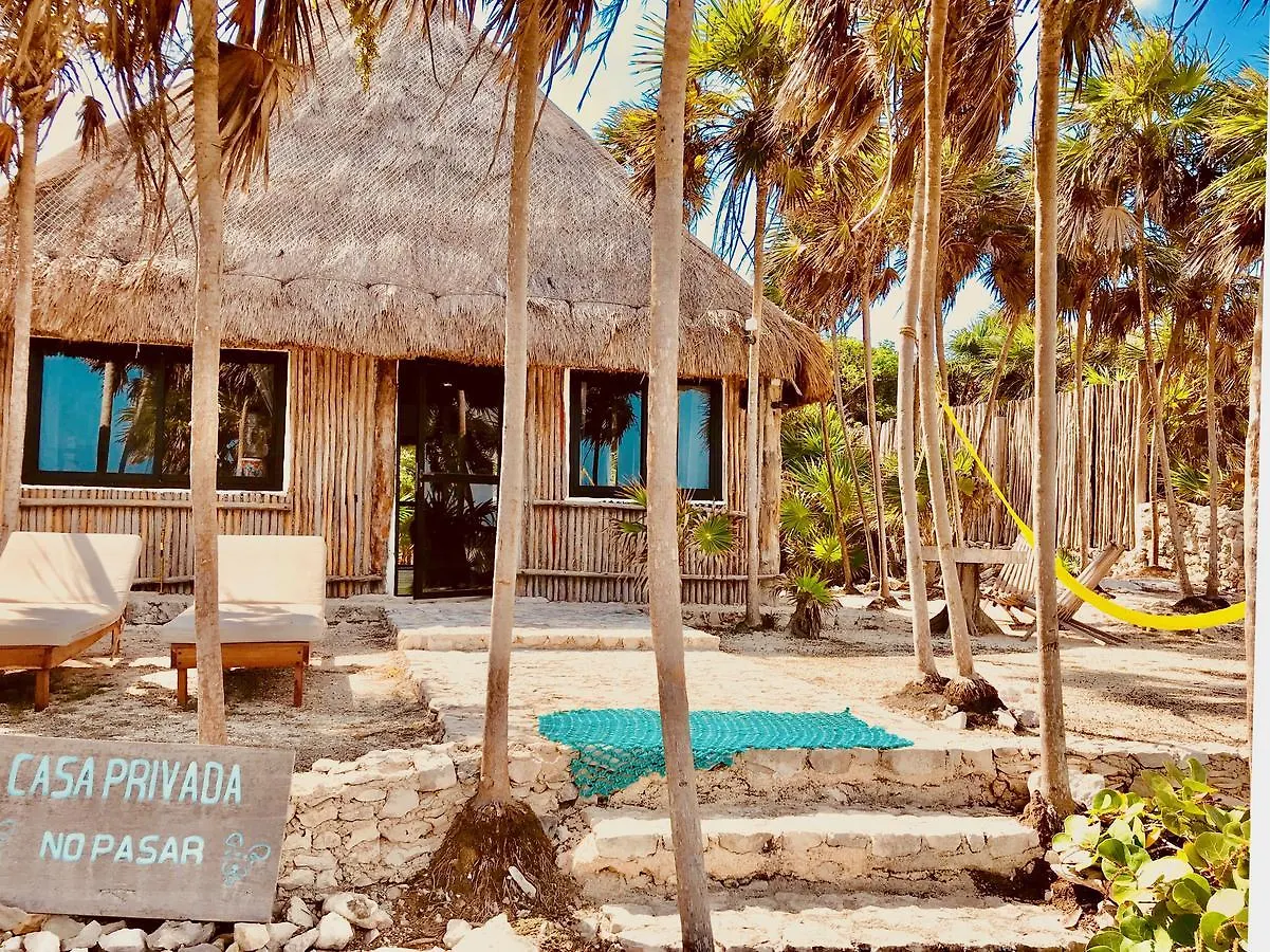 Casa Emily - Oceanfront House In Tulum! Villa  Tulum