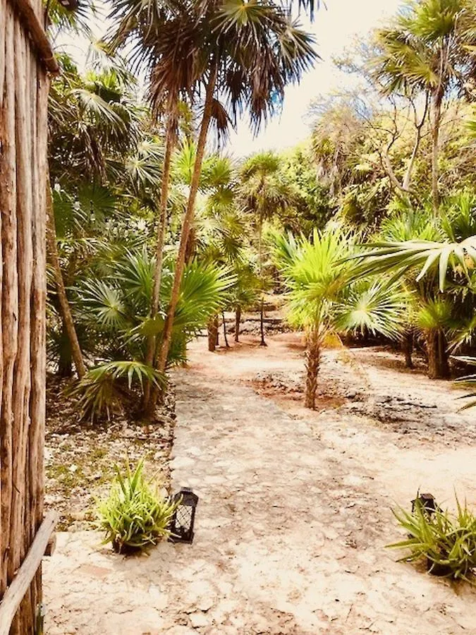 Casa Emily - Oceanfront House In Tulum! Villa Mexico