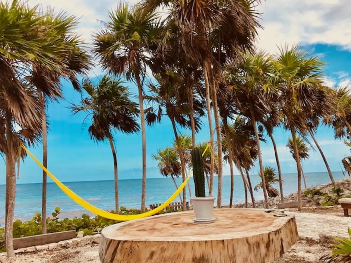 Casa Emily - Oceanfront House In Tulum! Villa 0*, Tulum Mexico