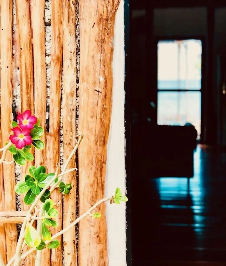 Casa Emily - Oceanfront House In Tulum! Villa