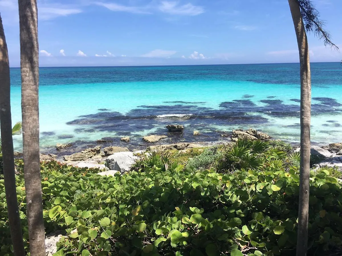 Casa Emily - Oceanfront House In Tulum!ヴィラ